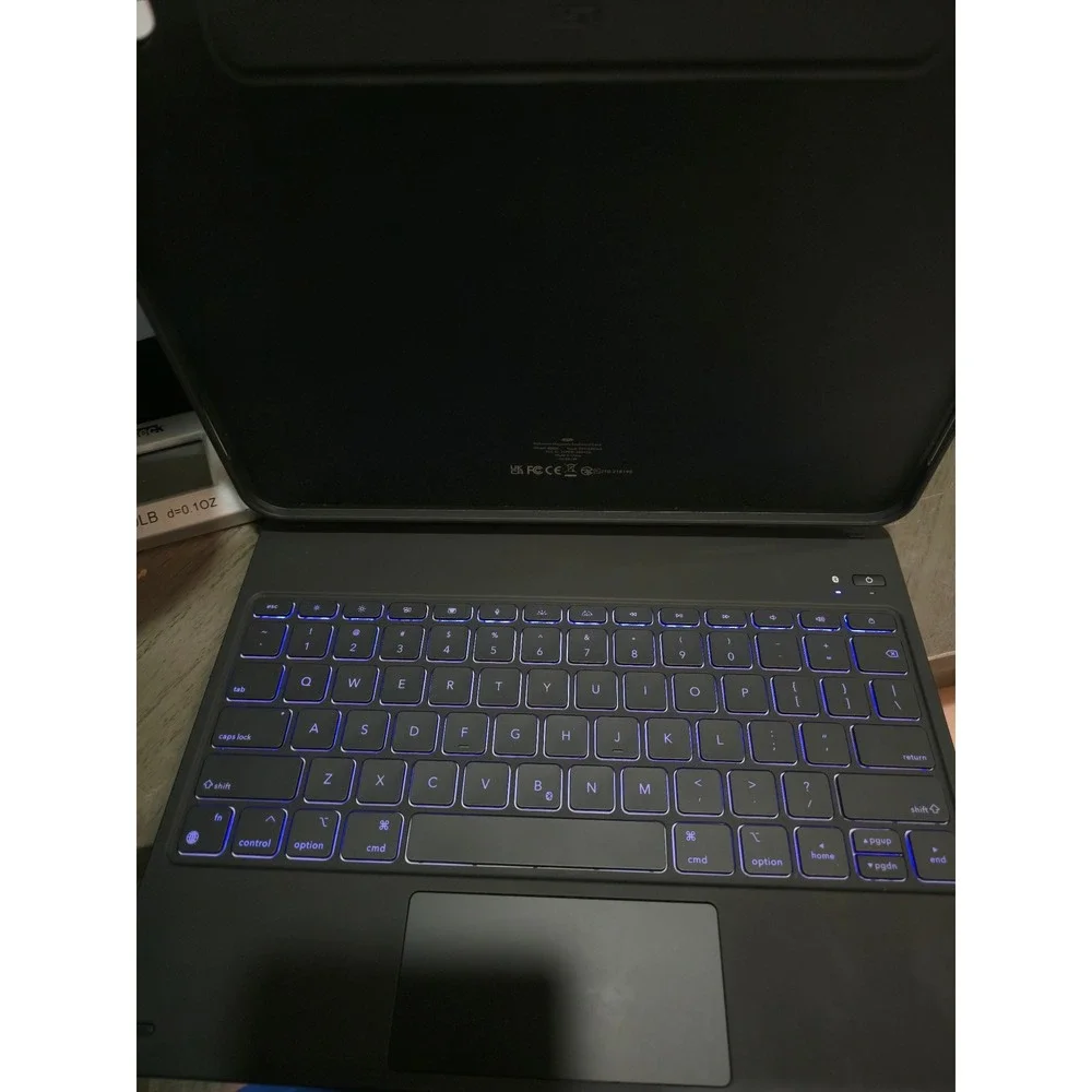 ESR iPad Pro 13